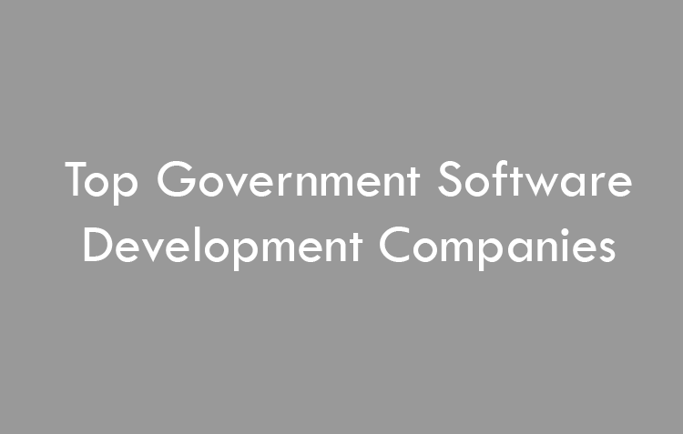 Top Government Software Development Companies 2026