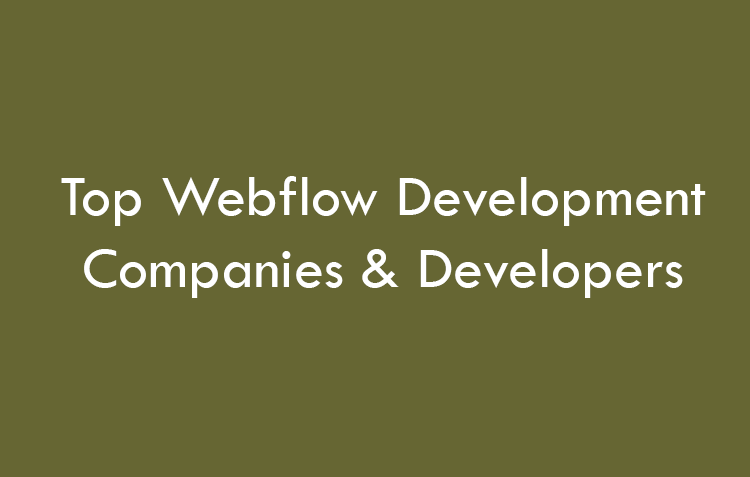 Top Webflow Development Companies & Developers 2026