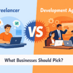 Freelancer vs Development Agency